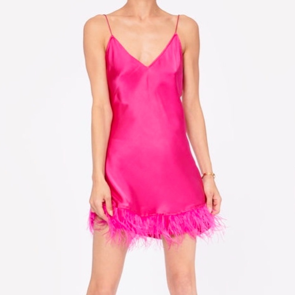 Cami NYC Size 2 Pink Feather Trim Slip Dress